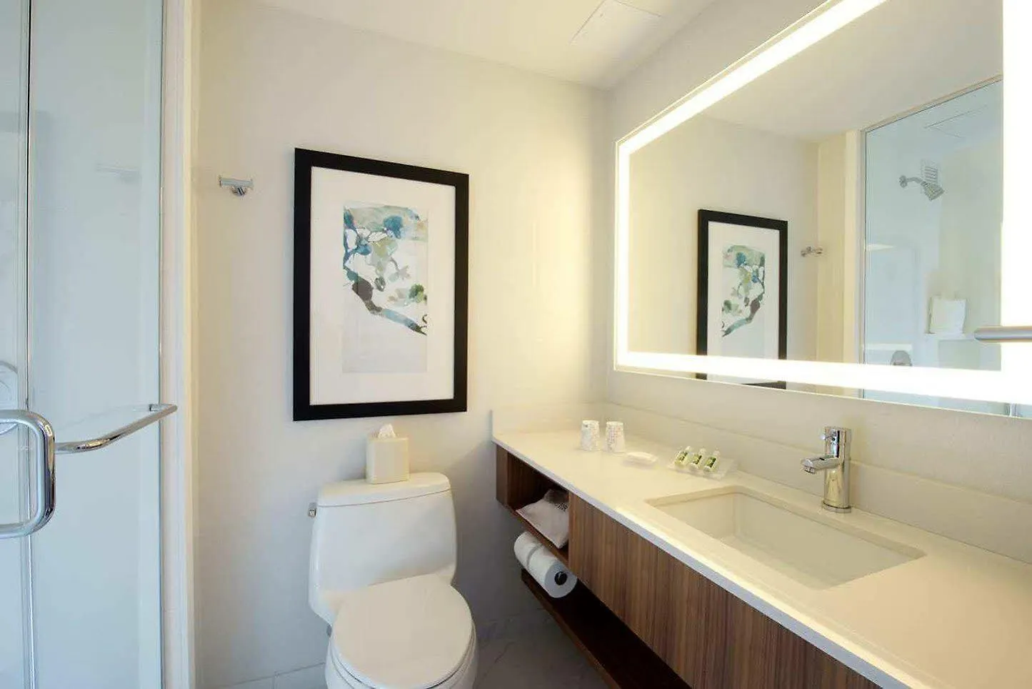 Hilton Garden Inn New York Central Park South-Midtown West United States